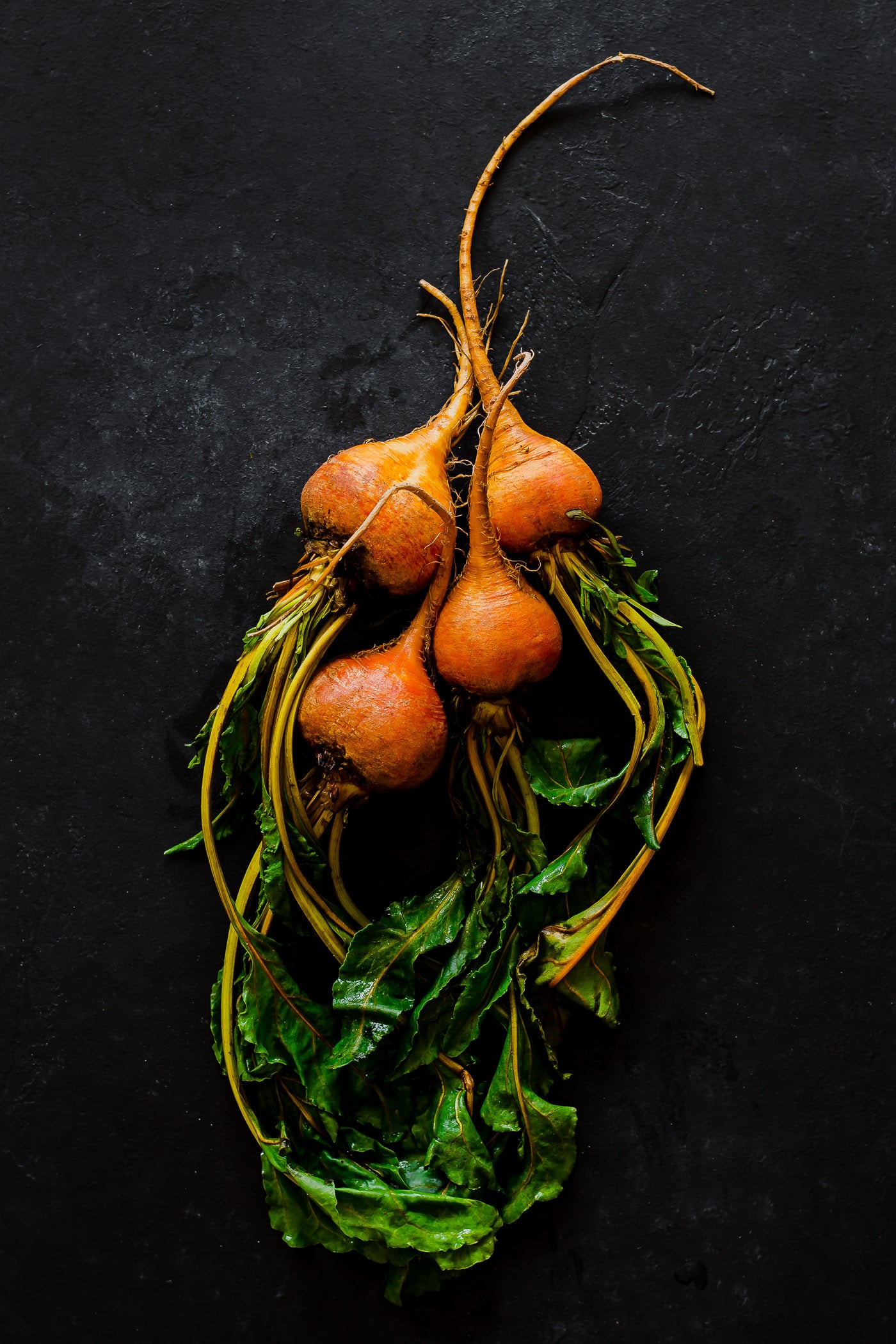 Golden Beets with greens attached on a black surface